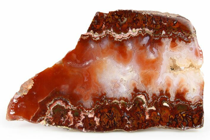 Polished Sicat Plume Agate Slab - Cady Mountains, California #263698